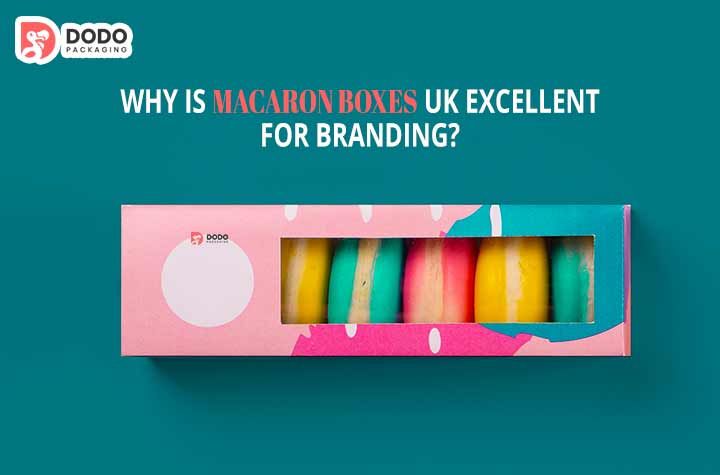 Why Is Macaron Boxes UK Excellent For Branding?