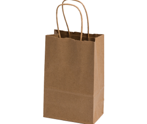 Twisted Handle Paper Bags 