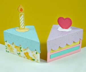 Cake Slice Boxes 